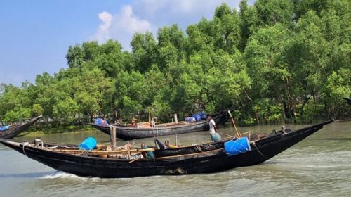 সুন্দরবন