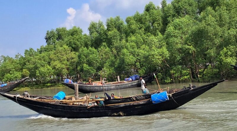 সুন্দরবন