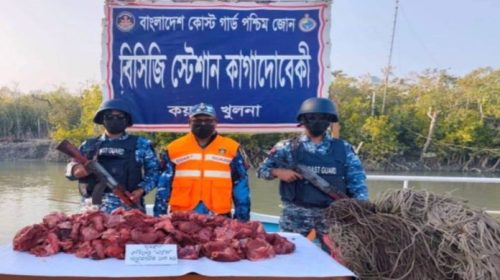 কোস্টগার্ডের বড় অভিযান: সুন্দরবনে ১০০ কেজি হরিণের মাংস ও ৪ হাজার মিটার ফাঁদ জব্দ