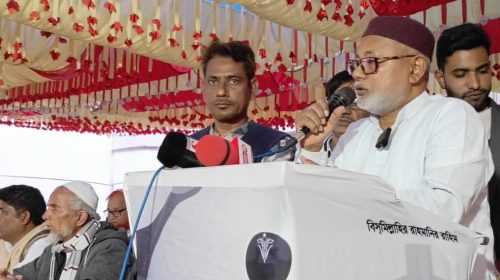 কাহারোলে ত্রয়োদশ সংসদ নির্বাচন ঘিরে বিএনপির জনসভা