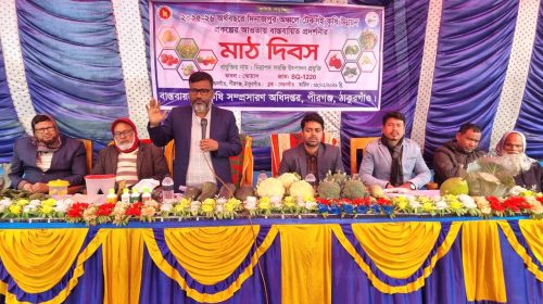 পীরগঞ্জে নিরাপদ সবজি উৎপাদনে মাঠ দিবস অনুষ্ঠিত