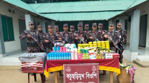 পানছড়ি সীমান্তে অভিযানে বিজিবির জব্দকৃত অবৈধ ভারতীয় পণ্যের একাংশ।