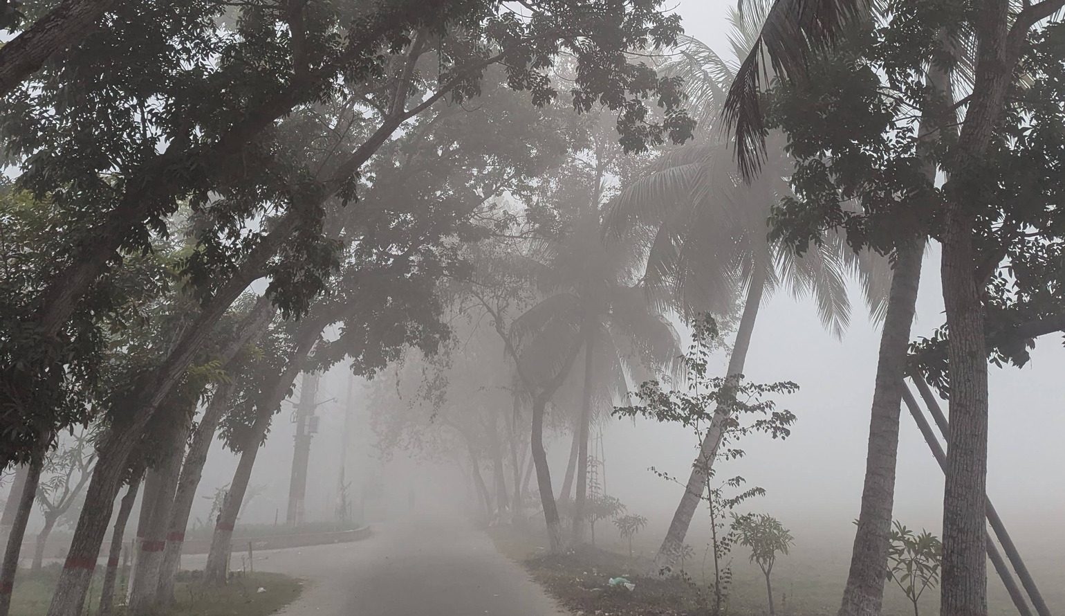 কুয়াশার চাদরে মোড়া খুলনা বিশ্ববিদ্যালয়: শীতের অপরূপ সৌন্দর্য