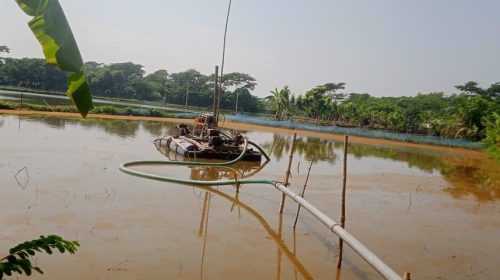 মোরেলগঞ্জে কৃষি জমিতে অবৈধ বালু উত্তোলন | | ছবি: দৈনিক ইতিহাস