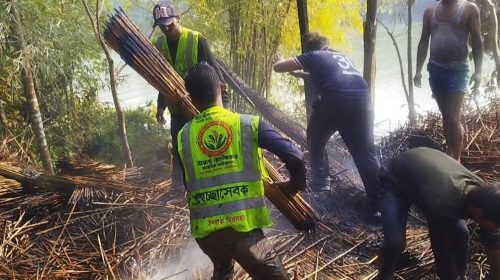 কাঠালিয়ার আমুয়া বড়ইবাড়িতে গুদামে অগ্নিকাণ্ড, নিয়ন্ত্রণে ফায়ার সার্ভিস ও ইয়ুথ রেডকেয়ার | ছবি: দৈনিক ইতিহাস