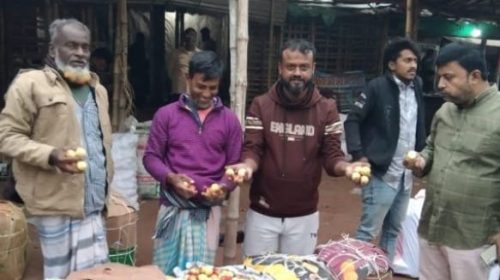 বেলতলা কুল বাজার এবার জমজমাট