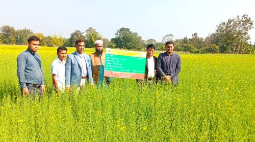 পানছড়িতে সরিষা চাষে কৃষক মাঠ দিবস