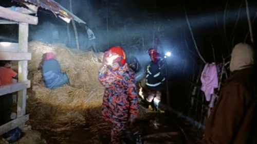 শরণখোলায় গো খাদ্য খড় কুটায় আগুন, ফায়ার সার্ভিসে নিয়ন্ত্রণ