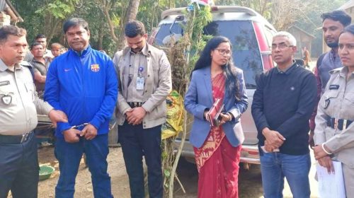 নড়াইলের কালিয়ায় গাঁজার গাছ উদ্ধার, দুইজন গ্রেপ্তার: ভ্রাম্যমাণ আদালতে জেল-জরিমানা