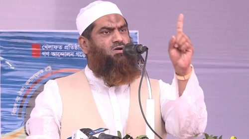 আল্লামা মামুনুল হক | ছবি : সংগৃহীত