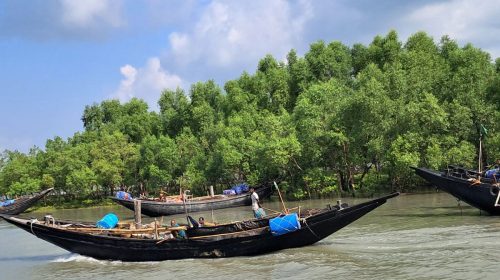 সুন্দরবনে জেলে নৌকা | ছবি : সংগৃহীত