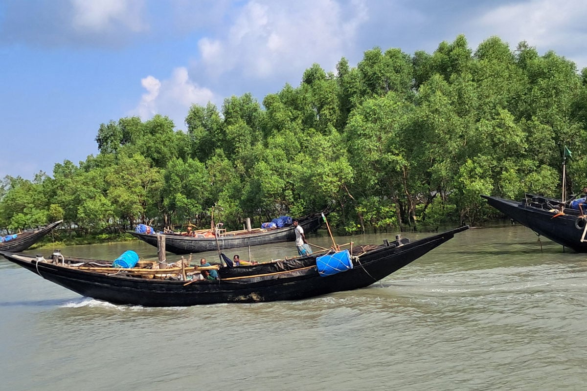 সুন্দরবনে জেলে নৌকা | ছবি : সংগৃহীত