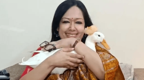 হাঁস কোলে নিয়ে যা বললেন রুমিন ফারহানা