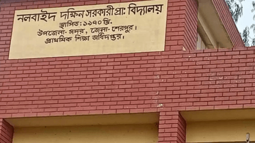 দক্ষিণ নলবাইদ সরকারি প্রাথমিক বিদ্যালয় কেন্দ্রে ওই ঘটনা ঘটে। ছবি : সংগৃহীত