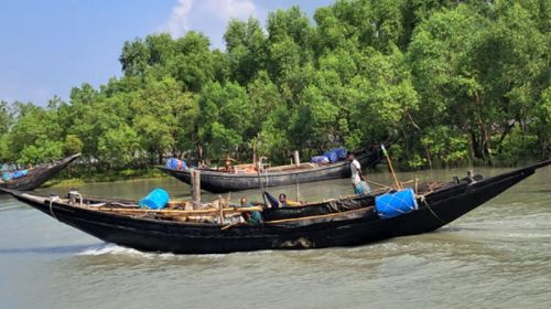সুন্দরবনে জেলে নৌকা | ছবি : সংগৃহীত