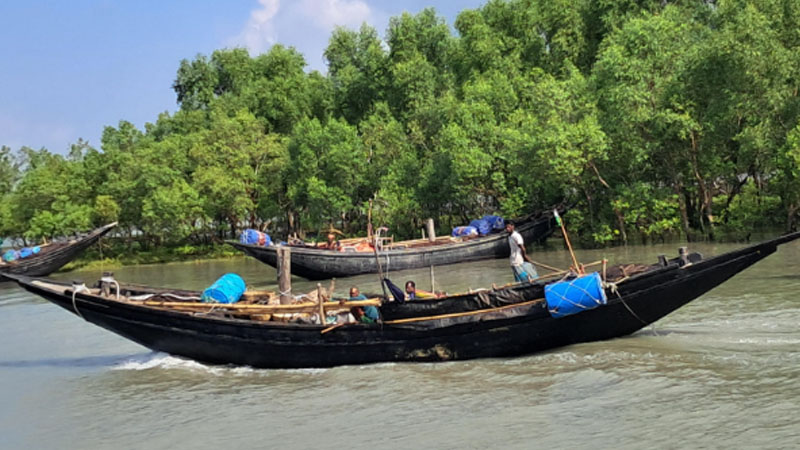 সুন্দরবনে জেলে নৌকা | ছবি : সংগৃহীত