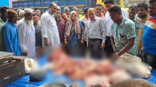 মাংসের দোকানে উপজেলা প্রশাসনের অভিযান