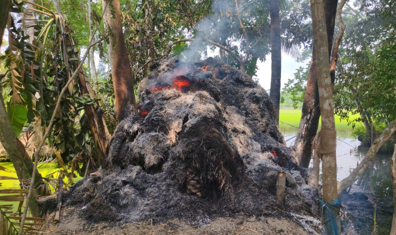 গো খাদ্যে আগুন