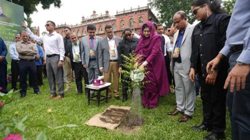 ঢাকা বিশ্ববিদ্যালয়ে বৃক্ষরোপন শেষে পানি দিচ্ছেন ডা. জোবাইদা রহমান : ছবি সংগৃহীত